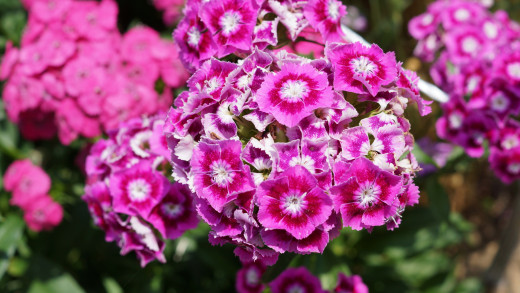 920786 (a): :3000x1687